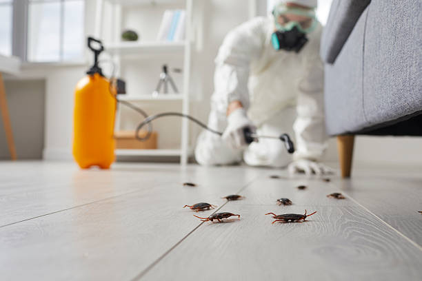 Post-Treatment Bed Bug Interceptor Monitoring in Geistown